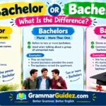 Bachelor or Bachelors