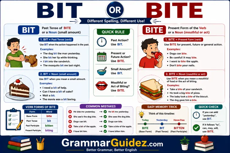 Bit or Bite