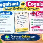 Cognisant or Cognizant