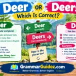 Deer or Deers