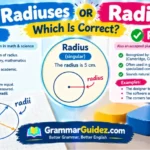 Radiuses or Radii