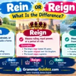 Rein or Reign