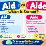 Aid or Aide