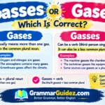 Gasses or Gases
