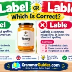 Label or Lable